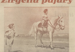 Pasijodinėjimas pajūryje. Sekmadienis, 1934, nr. 33, p. 1.
