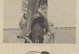 „Miss Palanga 1938“. Nuotrauka ir šaržas Penčylos. Sekmadienis, 1938, nr. 34, p. 22.