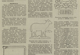 Rankdarbiai jauniesiems ūkininkams. Jaunasis ūkininkas.-1940, nr. 25, p. 390.