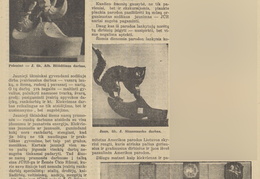 JŪR rankdarbių paroda Žemės ūkio rūmuose. Jaunasis ūkininkas.-1939, nr. 8, p. 115.