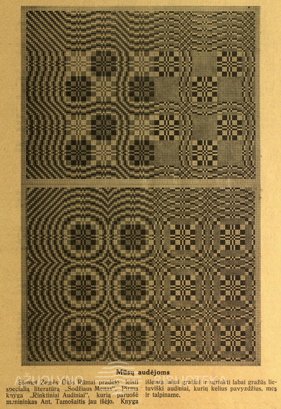 13_Moteris.-1928, nr. 6-7, p. 23..jpg