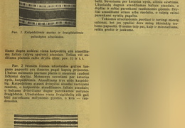 Tautinio stiliaus austinės užuolaidos (straipsnio pabaiga). Moteris.-1939, nr. 6, p. 87.