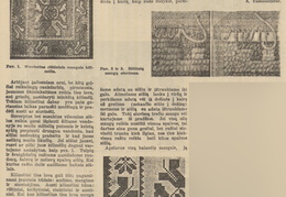 Tautinio stiliaus siuvinėti kilimai. Jaunasis ūkininkas.-1939, nr. 27, p. 421.