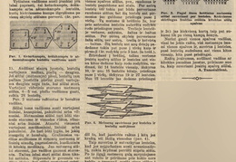 Juostų vadžios. Jaunasis ūkininkas.-1939, nr. 26, p. 407.