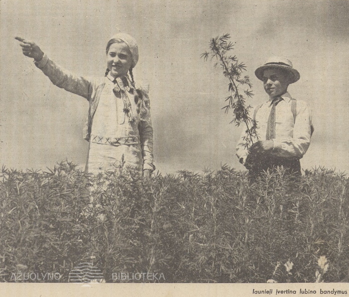 03_Jaunasis ūkininkas.-1937, nr. 16, p. Titulinis.jpg