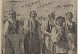 Jaunųjų ūkininkų šventė Krekenavoje. Jaunasis ūkininkas.-1939, nr. 19, p. titulinis.