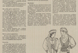 A. Tamošaičio straipsnis apie aukštaičių tautinį kostiumą (straipsnio pradžia). Jaunasis ūkininkas.-1938, nr. 3, p. 37.