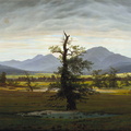 Kasparas Davidas Frydrichas. Vienišas medis. 1822 m.