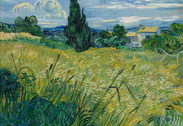 Vincentas van Gogas. Kviečių laukas. 1889 m.