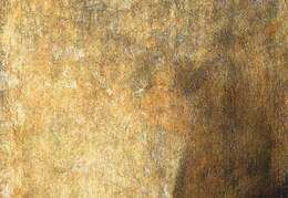 Fransiskas Chosė de Goja. Šuo. 1820-23 m.