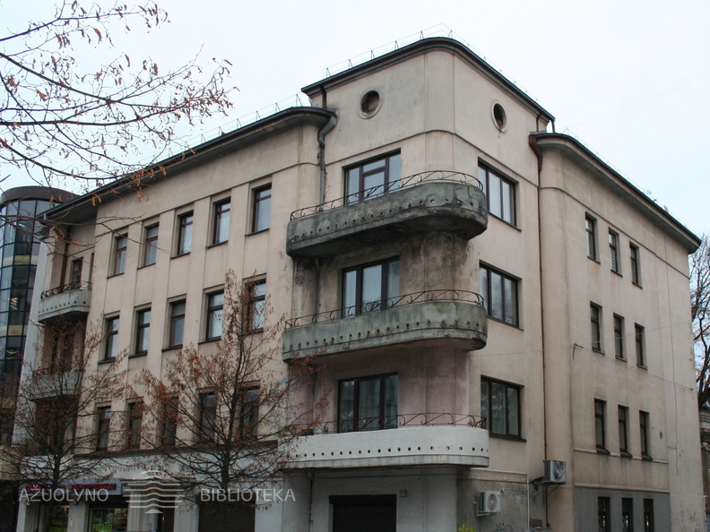 A. Mickevičiaus g. 29