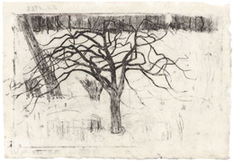 M. K. Čiurlionis. Belapis medis. 1905-06 m.