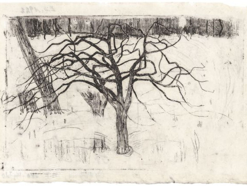 M. K. Čiurlionis. Belapis medis. 1905-06 m.