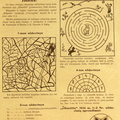 Skilties „Pramogėlės“ nauji uždaviniai ir nr. 1 užduočių sprendimai. Žiburėlis.-1934, nr. 2, p. 15.