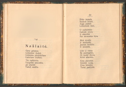 Eilėraštis „Našlaitė“ iš rinkinio „Sielos sparnai“, 1919, p. 59.