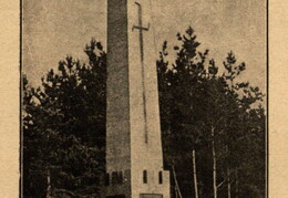 Paminklas žuvusiems už Lietuvos nepriklausomybę Alytuje. Akiras-Biržys. „Lietuvos miestai ir miesteliai. Alytaus apskritis: dzūkų kraštas“ – Kaunas: leidėjas Amerikos lietuvis Juozas Bičiūnas. „Dirvos“ b-vės sp., t. 1, 1931, p. 43.