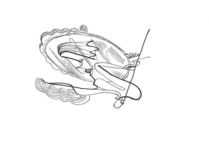 „Kreivas veidrodis”