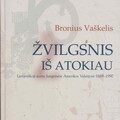 Bronius Vaškelis „Žvilgsnis iš atokiau“