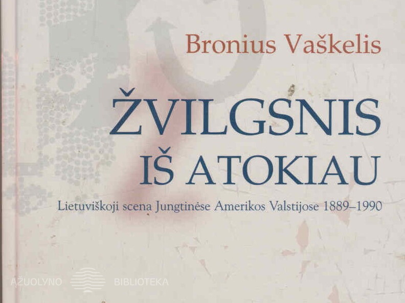Bronius Vaškelis „Žvilgsnis iš atokiau“