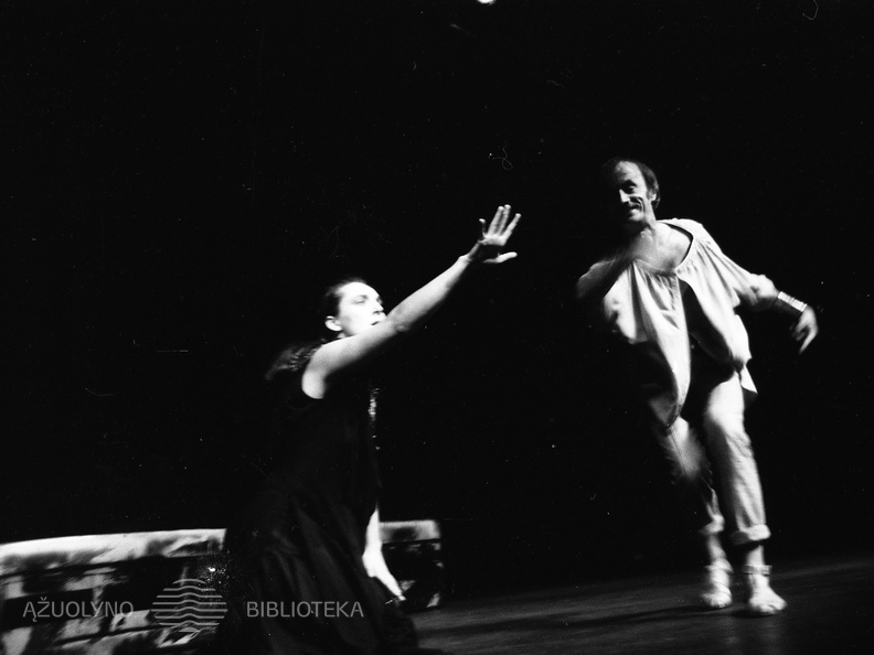 ŠIAULIŲ DRAMOS TEATRAS