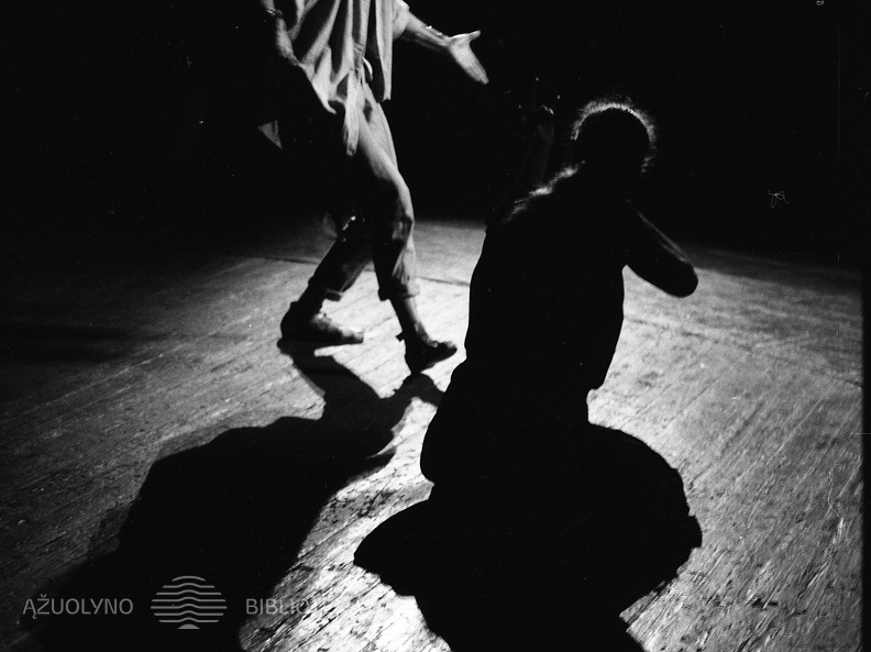 ŠIAULIŲ DRAMOS TEATRAS