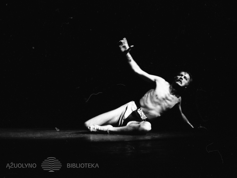 ŠIAULIŲ DRAMOS TEATRAS