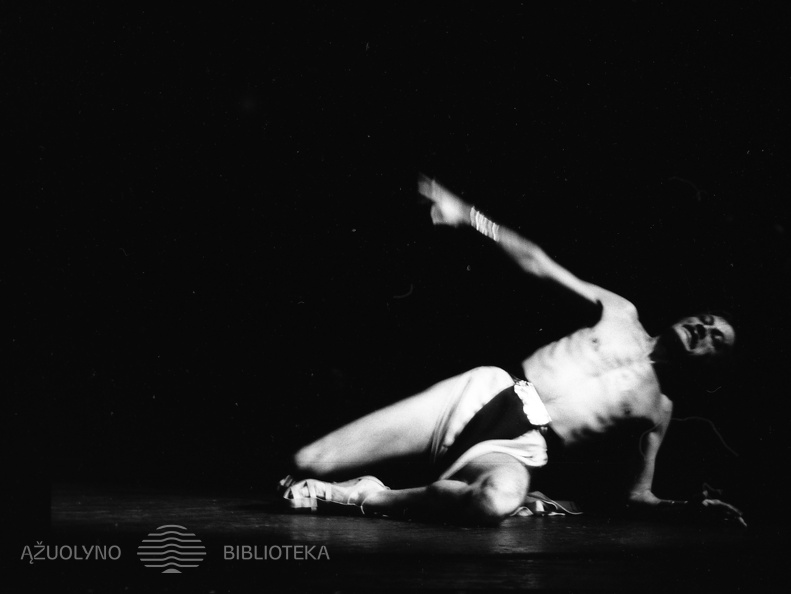 ŠIAULIŲ DRAMOS TEATRAS