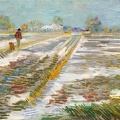 Vincentas van Gogas. Peizažas su sniegu. 1888 m.