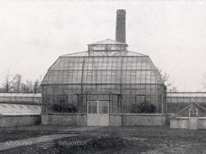 Oranžerija Žaliakalnio ąžuolyne. XX a. 4 deš.