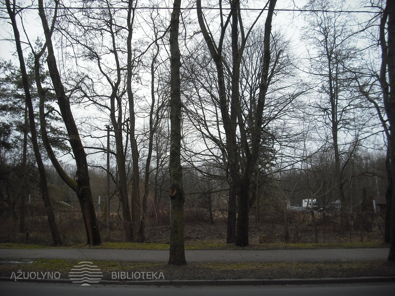 Oranžerijos vieta Žaliakalnio ąžuolyne. 2014 m.