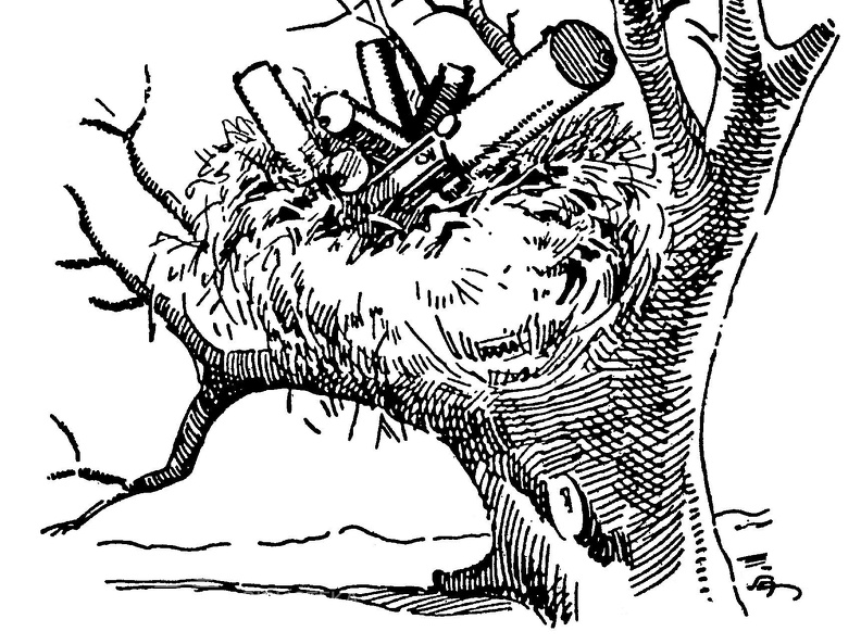 Kulkosvaidžio „lizdas“