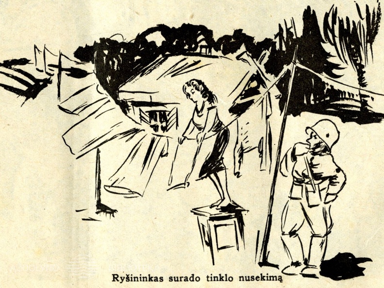 Ryšinikas surado tinklo nusekimą