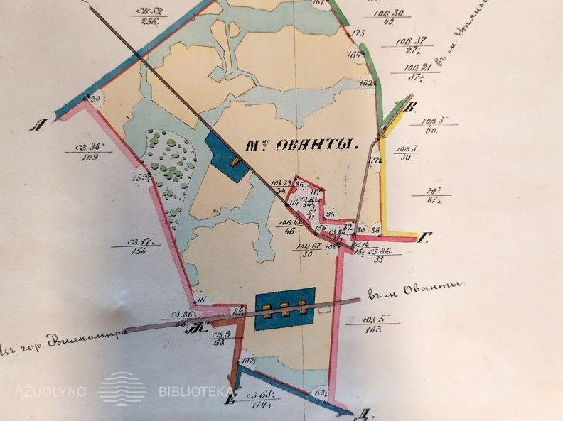 Alantos dvaro planas, dvarininkas Vladimiras Pac