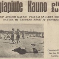 Centrinis Kauno pliažas ties Karmelitais. Sekmadienis, 1936, nr. 29, p. 11.