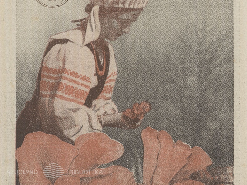 Mergina su tautiniais drabužiais. Jaunasis ūkininkas.-1938, nr. 17, p. titulinis.