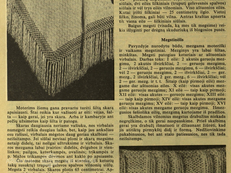 Megzta skara. Moteris.-1938, nr. 21, p. nenumeruotas.
