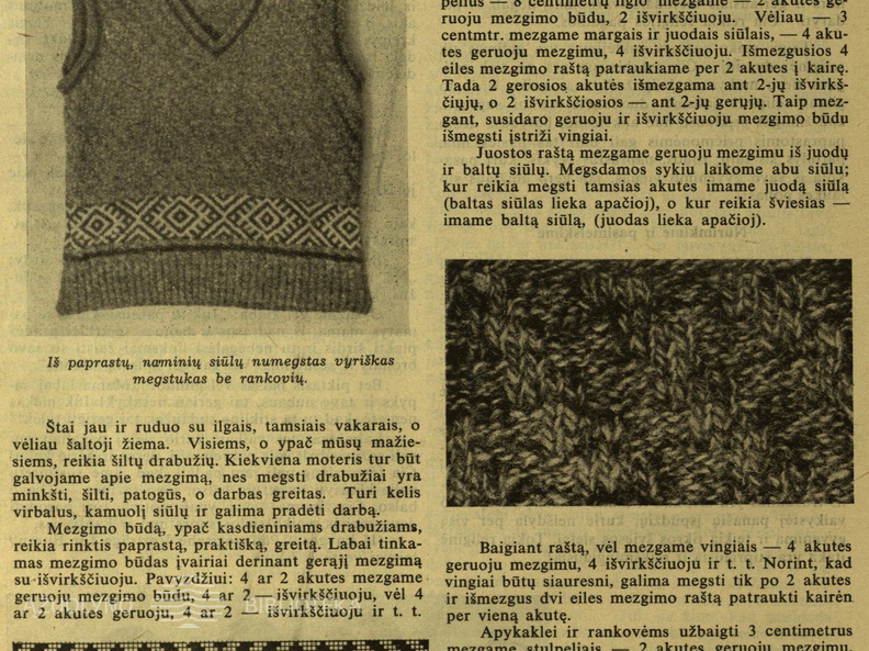 Tautinio stiliaus liemenė. Moteris.-1938, nr. 19, p. 320.