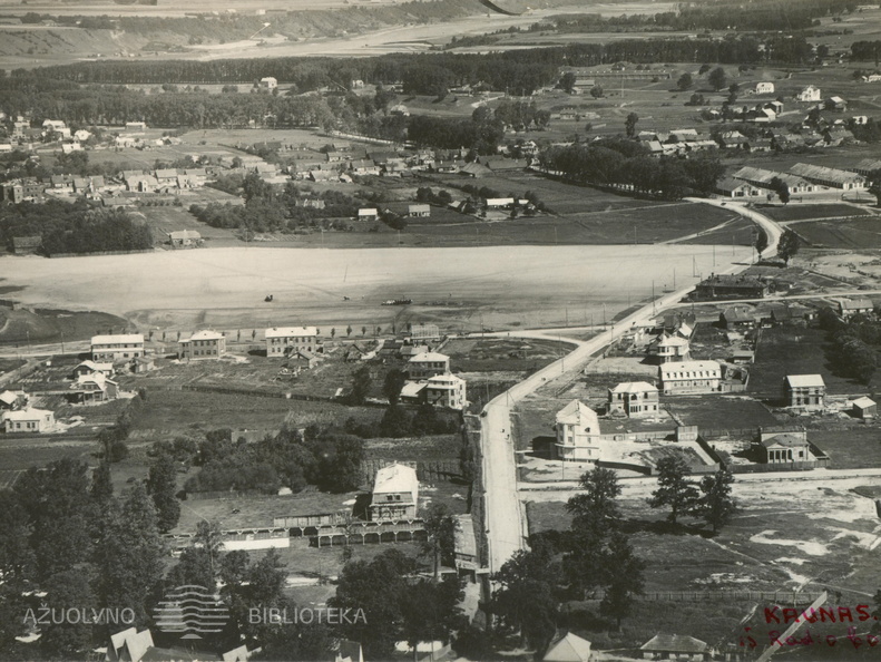 Žaliakalnio panorama